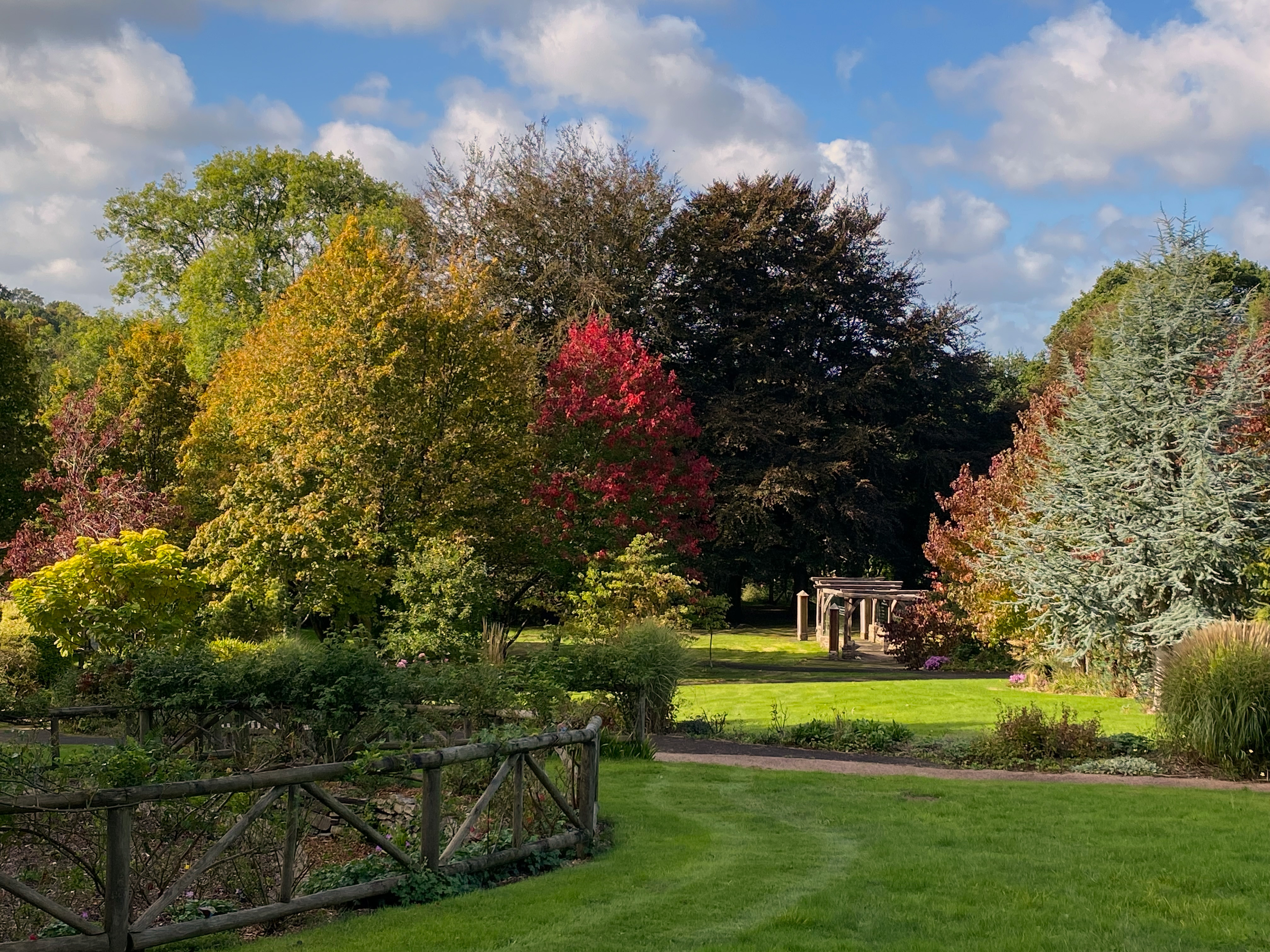 View of a manicured gardens showing autumnal colours on the trees